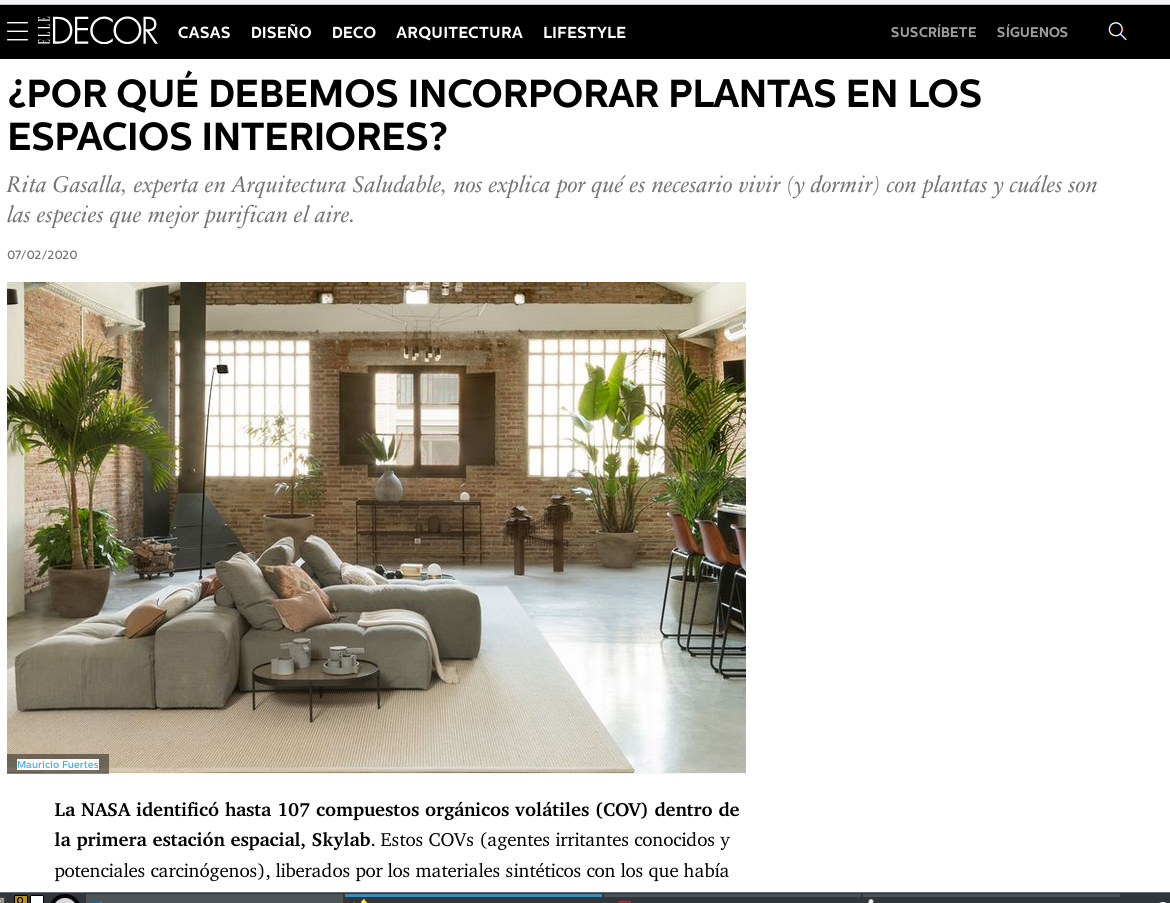 Beneficios de las plantas en el interior de la casa y del dormitorio- Elle  Decor. - Galöw